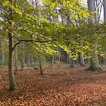 公寓 Przytulny Debina *