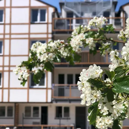 Przytulny Debina Apartmán *