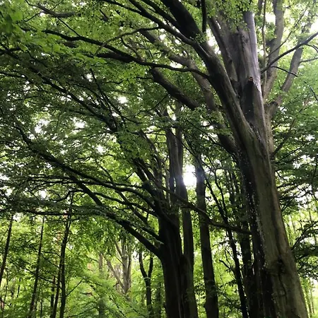 Przytulny Debina דירה