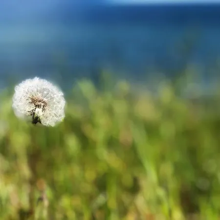 Apartmán Przytulny Debina