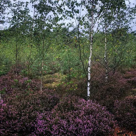 Przytulny Debina Apartmán