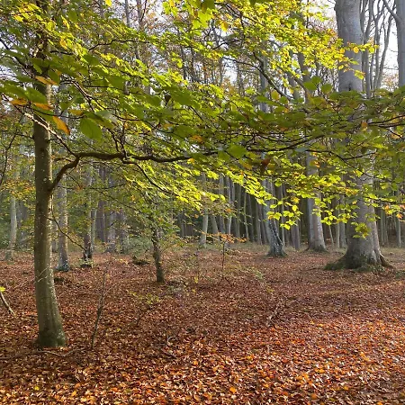 דירה Przytulny Debina *