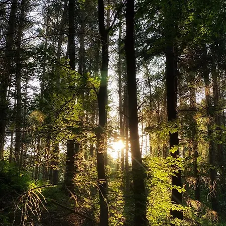 Przytulny Debina Debina (Ustka)