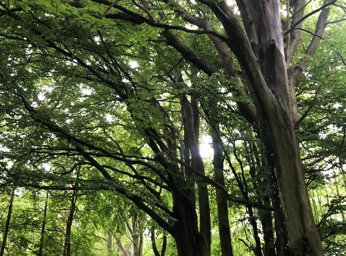 Przytulny Debina Lägenhet