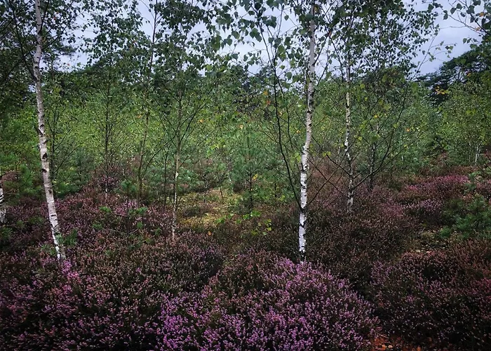 Przytulny Debina Lägenhet