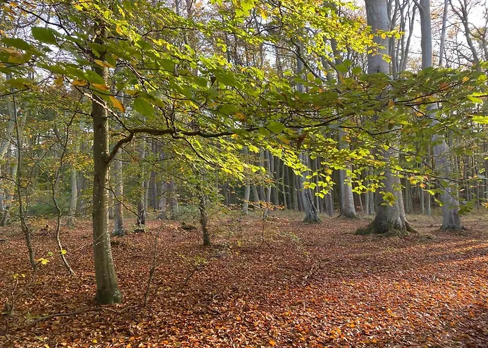 Lägenhet Przytulny Debina *