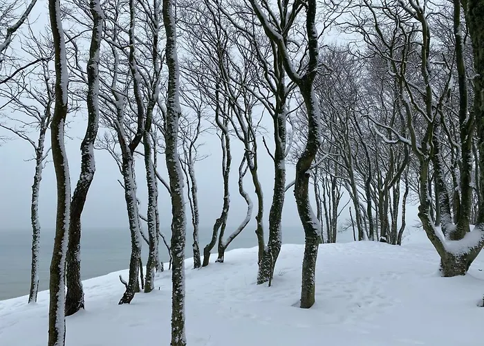 Lägenhet Przytulny Debina Debina (Ustka)