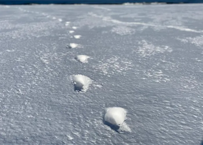 Przytulny Debina Lägenhet Debina (Ustka)
