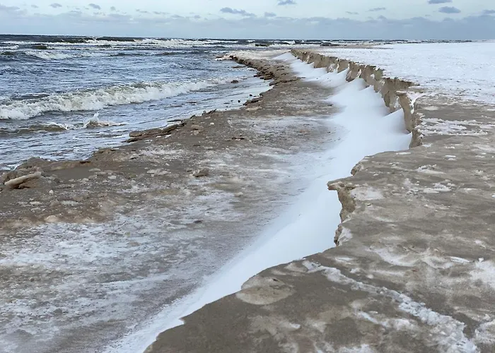 Lägenhet Przytulny Debina