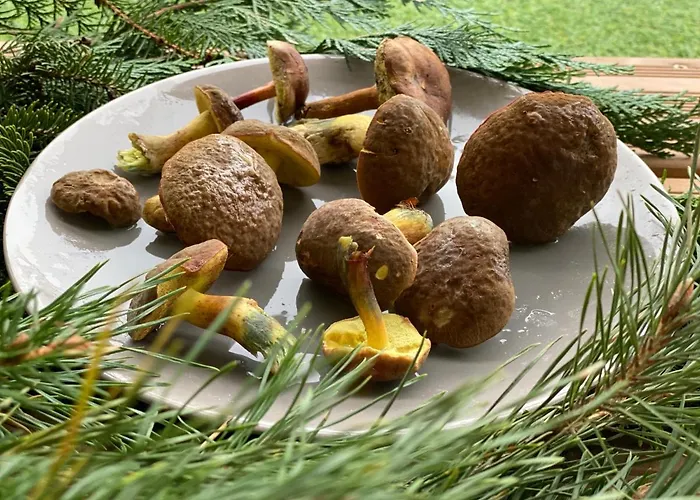 Przytulny Debina Lägenhet