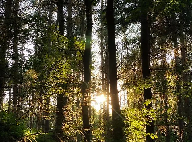 Przytulny Debina Debina (Ustka)